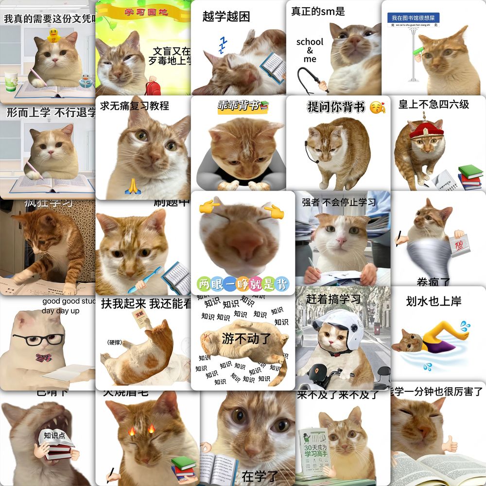 学习猫表情包贴纸学生抽象装饰