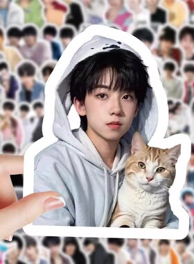 102张TF四代贴纸ins高颜值明星周边桌面手机手账素材装饰贴画防水