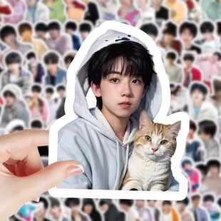 102张TF四代贴纸ins高颜值明星周边桌面手机手账素材装饰贴画防水