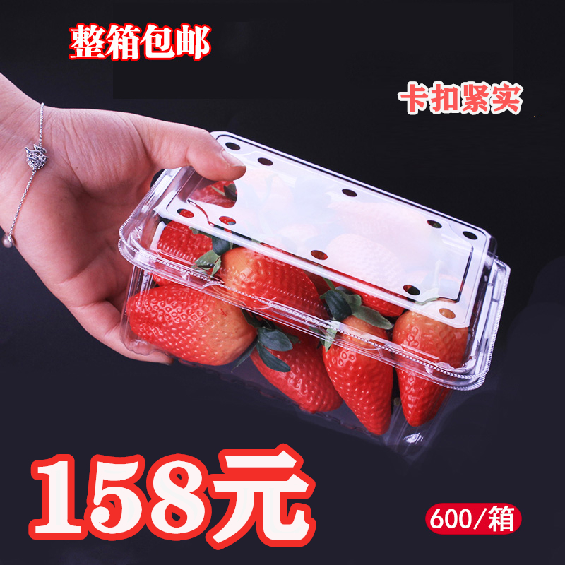 500克草莓盒一斤装透明塑料高档草莓水果盒子500m车厘子打包装盒