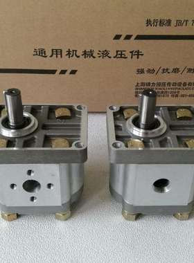 CBN-E306CLPRCBN-E310/304/316CLPL平左平右齿轮泵螺纹油口