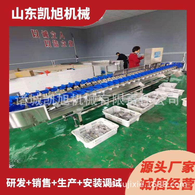 鸡腿重量分拣设备猪脚猪蹄圈动态称重筛选秤智能分选机生产厂家
