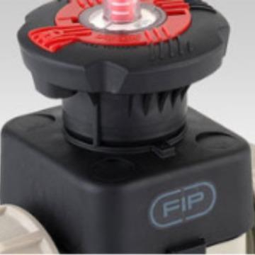 意大利FIPY型过滤器UPVCY型DN25，PN16RVUIT032E