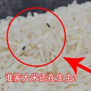按压装 橱柜米桶家用防尘防潮密封五谷杂粮储存米缸2024新款 米面箱