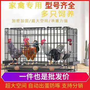 鸡笼子自动清粪大号鸡笼子家用养鸡笼子带托盘防踩养殖鸡笼子