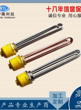 DN5040不锈钢螺纹加热管六角法兰锅炉开水器太阳能发热管3kw6kw