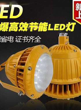 FGV1246-LED免维护节能防爆泛光灯20W30W40W50W支架式立杆式安装