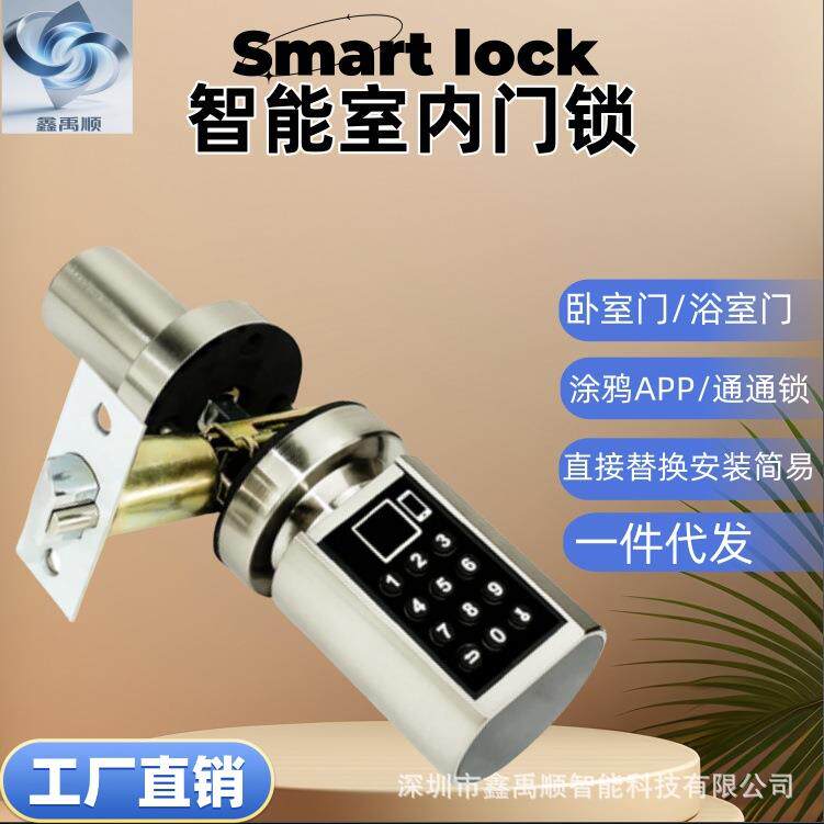 智能锁芯指纹密码锁门锁家用防盗门电子锁刷卡锁木门大门锁卧室门