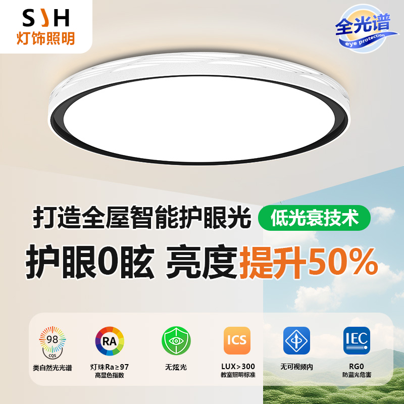 创意2025年新款卧室房间led吸顶灯芯现代简约大气全光谱护眼彩艺