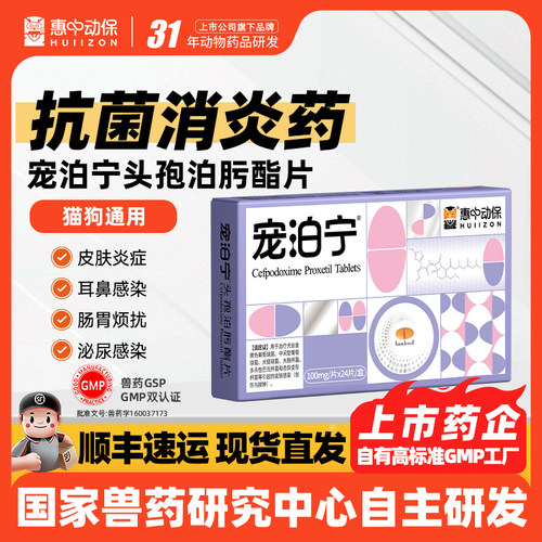 宠泊宁宠物消炎药头孢兽用猫犬用