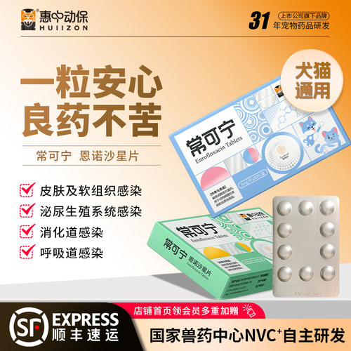 常可宁消炎片宠物泌尿感染药兽用