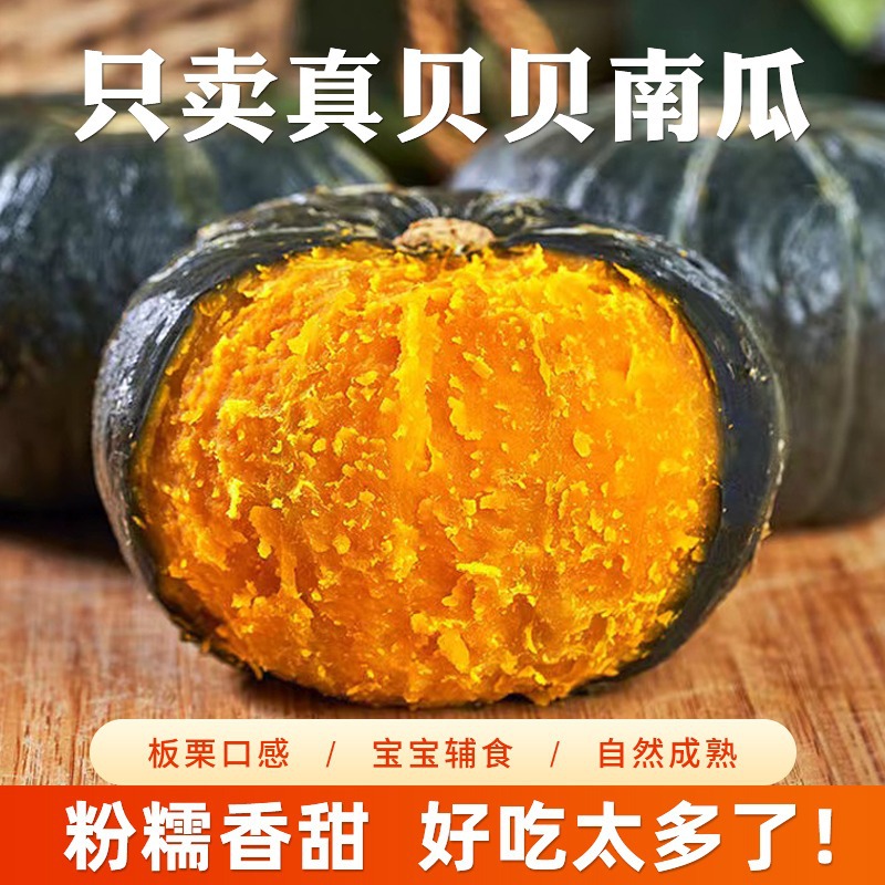 贝贝南瓜粉糯板栗味孕妇辅食