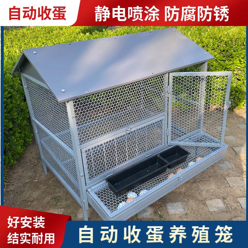 鸡笼子家用室外防雨自动收蛋防啄防黄鼠狼防鼠加厚不锈下蛋养殖笼