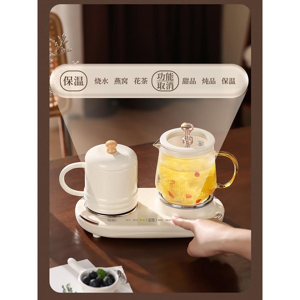 2025新款玻璃养生壶办公室小容量养生杯煮茶器花茶一人小型烧水壶