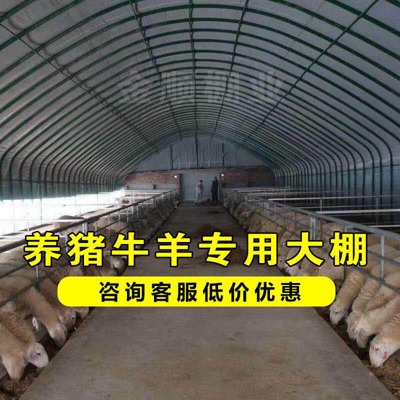 养殖大棚骨架钢管全套牛棚羊圈猪舍养鸡鹅养猪温室种植蔬菜椭圆管