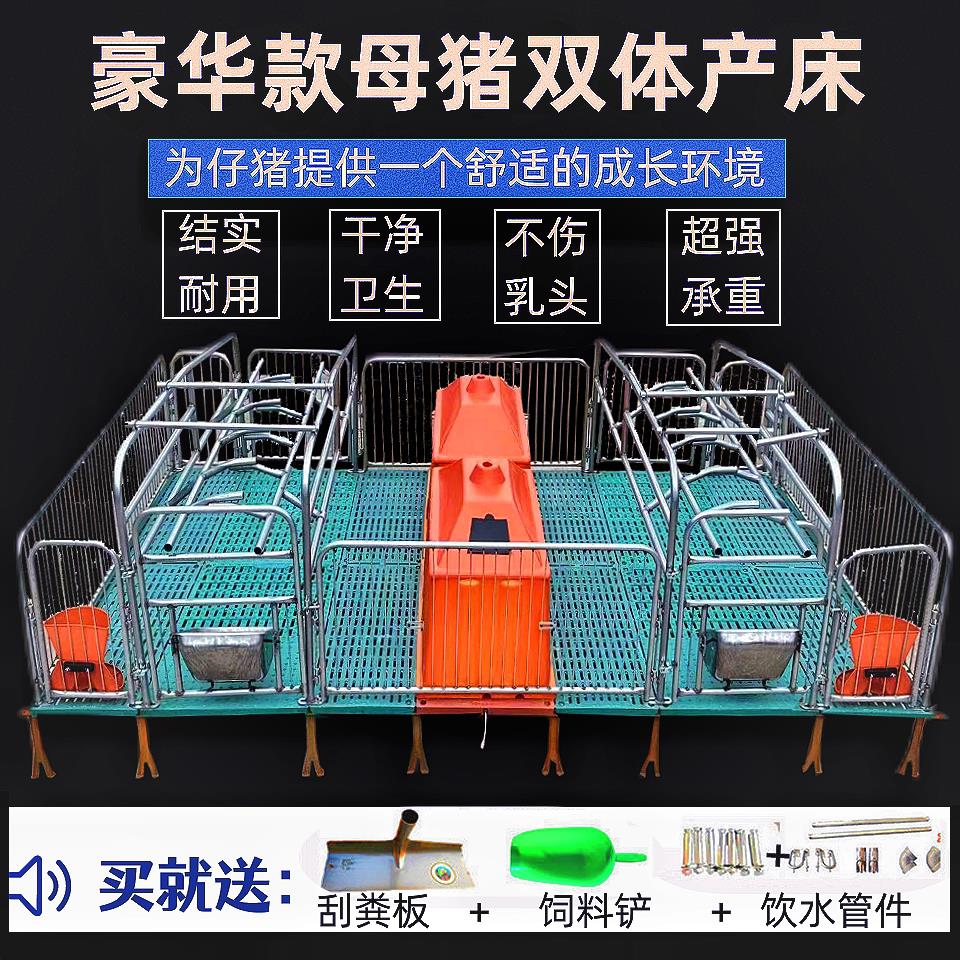 母猪产床全套一整套新款两用产床产保一体双体单体产床加厚热镀锌