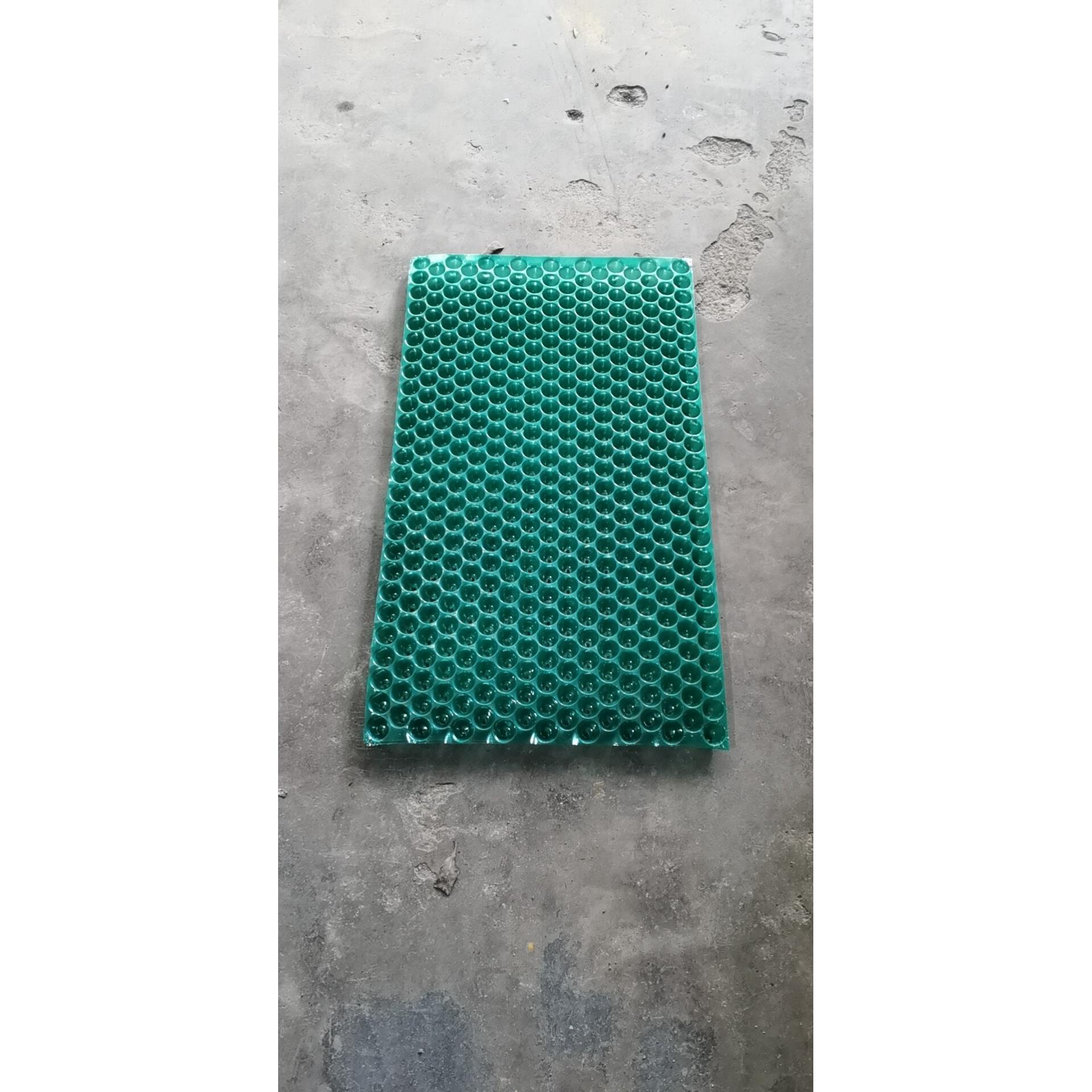 抛秧盘水稻专用育秧盘人工抛秧盘434孔短款播种器