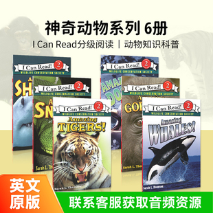 Read 鲸鱼 Level 动物 6册I 儿童英文绘本英语故事书 蛇 大猩猩 神奇 英文原版 Can Whales Amazing 老虎 正品 原版