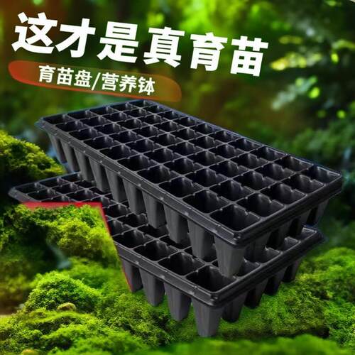 育苗盘穴盘辣椒玉米黄瓜育苗新料保量塑料可降解材料育苗器营养钵