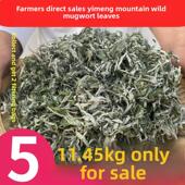 艾蒿干艾蒿叶泡脚野家用散装 艾条艾浴祛湿产后坐月子专用