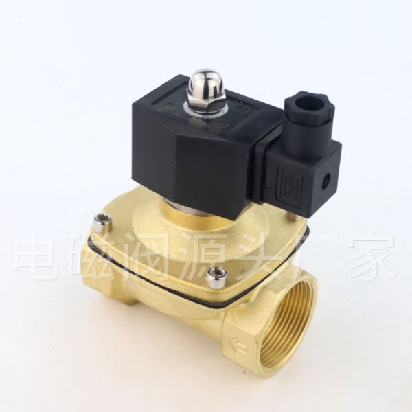 室外防水电磁阀水阀开关阀220VDC24V气阀排水防雾DC12V4分6分1寸