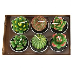 可爱多肉植物仙人掌造型蜡烛 创意多规格蜡烛 12只装 照明蜡烛