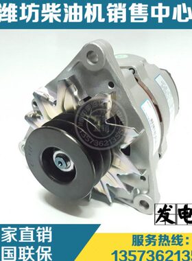 潍柴226B道依茨发动机30铲车装载机WP6柴油机13024500原厂发电机
