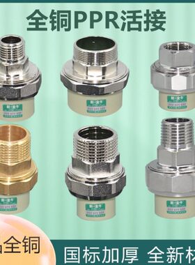 4分牙异径热金新PPR内6分双头20一外丝25灰色 1铜牛寸熔活接32