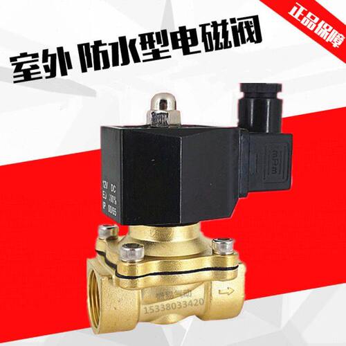 6分室外专用防水电磁阀水阀开关阀2W200-20 防雾气阀AC220V DC24V