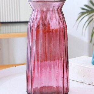 红色干花子专用花瓶摆件客厅柳富贵竹冬银雪青插花柳枝水培玻璃瓶