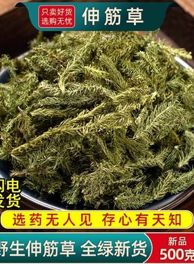 野生伸筋草中药500克g正品另售远志益智仁伸筋草透骨草中药材新货