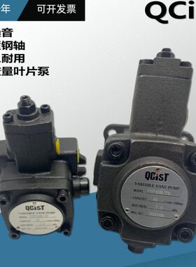 叶片泵Q/油泵秦 B20VP20ST35 B V7040机床55C/30变量1512川  BI B