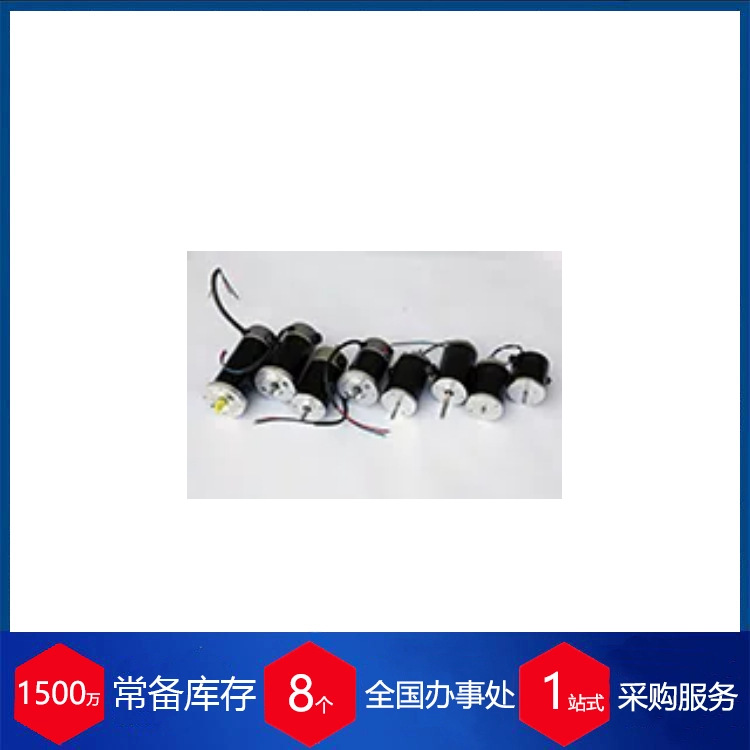 意大利SSQ电机 ?48毫米系列直流电机