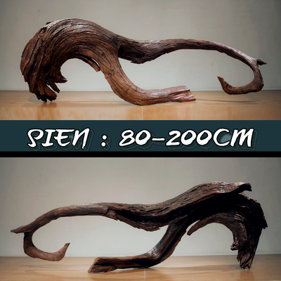 沉木大号大型造景木80-200拱桥型拱形南美鱼缸造景天然枯木紫柚木
