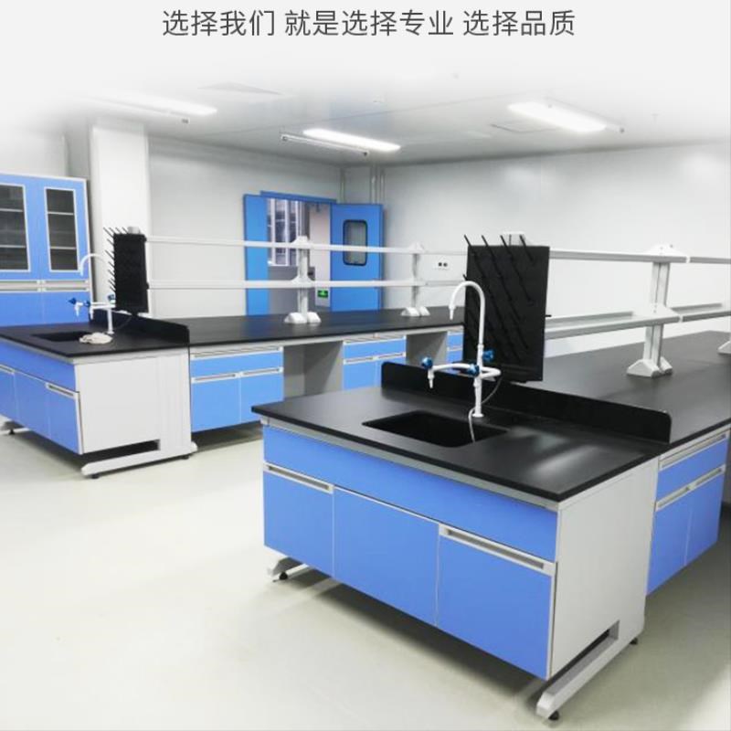 工厂直销边台化学通风橱柜钢木实验台中央台工作台化验室支持定制