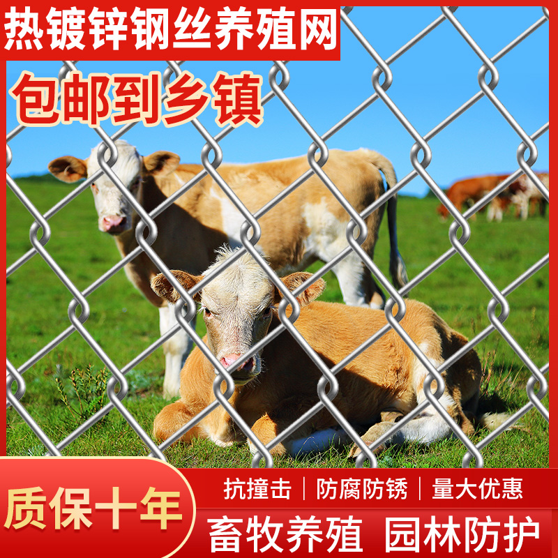 镀锌铁丝网勾花网养殖围栏网护栏网养狗鸡羊养殖网山地果园防护网