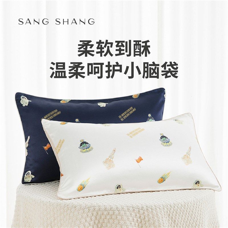 桑尚真丝儿童枕套夏天新款3050卡通图案宝宝单个装记忆枕头亲肤