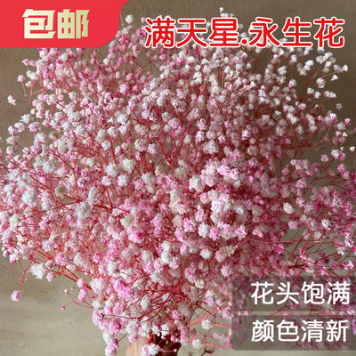 大满天星干花包混搭花束保鲜永生花客厅装饰插花压花浮油花材料包