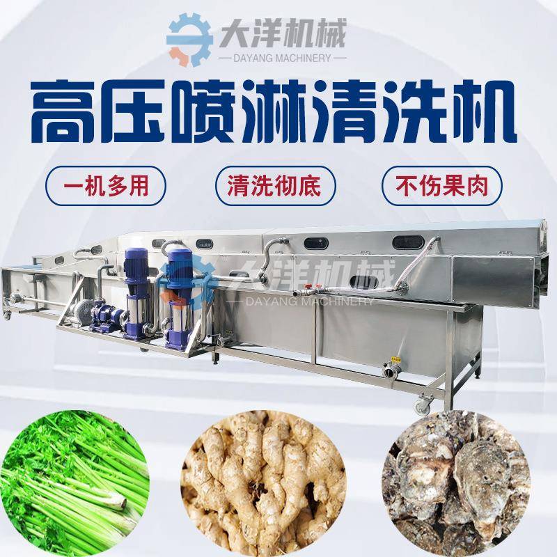 山药高压喷淋清洗机机械无损伤四面喷淋清洗彻底葛根清洗设备