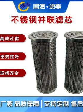 LY8/25水泥厂三并联滤芯尺寸240*560mm铝盖不锈钢滤网