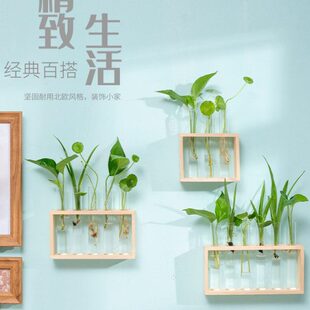 插花水培花瓶桌面绿植挂墙花木架玻璃试管瓶摆件墙壁装饰创意植物