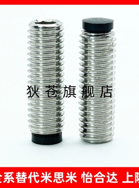 TDA21限位定位止动螺栓SBCTS 6/8-8/10/12/16/20/25/30/40/50/60