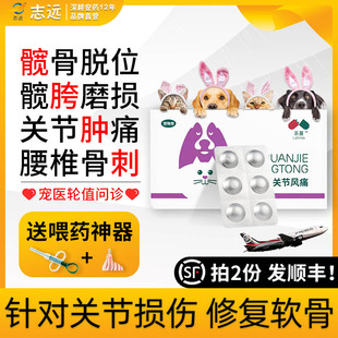 髌骨脱位药狗狗腿瘸泰迪软骨素止痛关节止疼消炎猫咪美洛昔康宠物