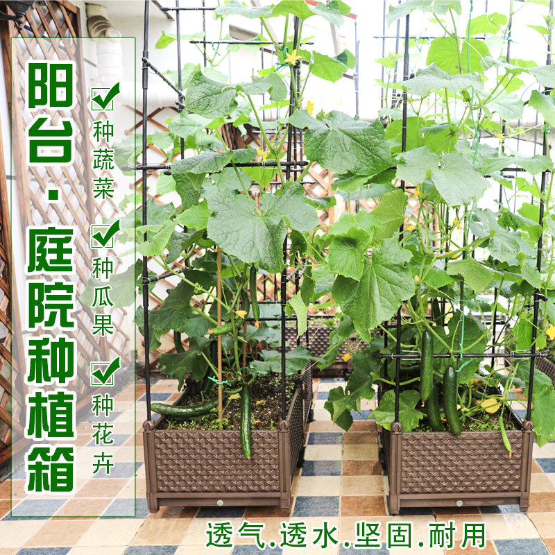 种植箱阳台种菜塑料盆长方形蔬菜菜园pp花盆