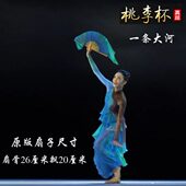 子阮欣怡艺考民间河道具浙江音乐学院真丝舞蹈扇桃李舞条杯扇大一