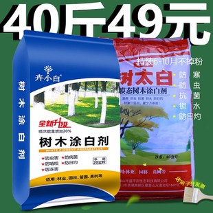 大树涂白剂卉小白树干涂白粉行道树刷白剂小区涂干腻子粉果树涂白