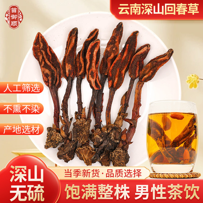 回春草云南深山不老草顶天柱泡水泡酒男性滋补金锁阳肉苁蓉药材