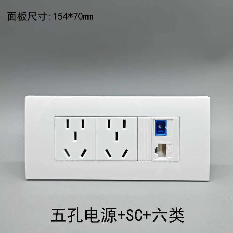 118型中号2个10A五孔二三插电源面板SC光纤+六类网络千兆面板插座