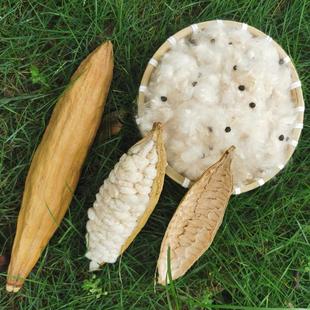 天然抗菌有籽木棉枕芯带籽有子纯木棉枕头攀枝花海南木棉花填充料