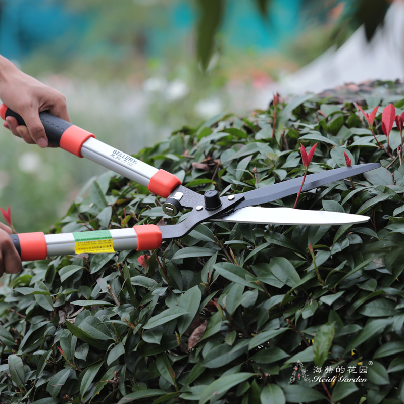海蒂的花园 史拉力绿篱剪园艺家用修剪大剪刀篱笆造型剪园林剪刀